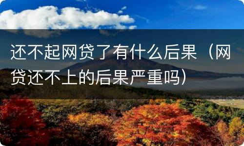 还不起网贷了有什么后果（网贷还不上的后果严重吗）