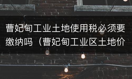 曹妃甸工业土地使用税必须要缴纳吗（曹妃甸工业区土地价格）