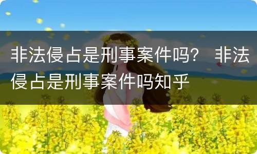 非法侵占是刑事案件吗？ 非法侵占是刑事案件吗知乎