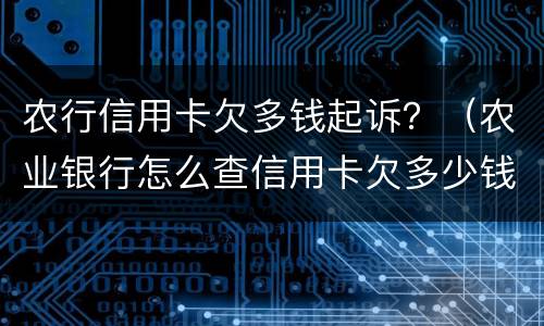 农行信用卡欠多钱起诉？（农业银行怎么查信用卡欠多少钱）