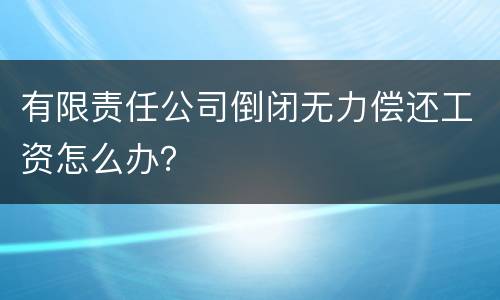 有限责任公司倒闭无力偿还工资怎么办？