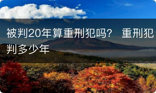 被判20年算重刑犯吗？ 重刑犯判多少年