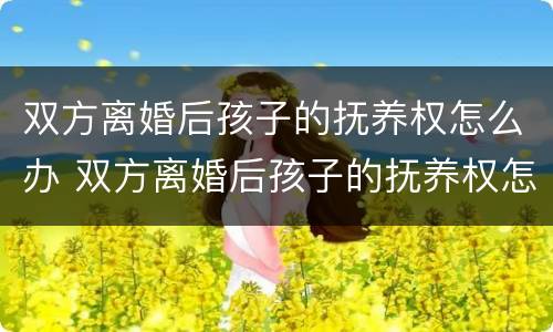 双方离婚后孩子的抚养权怎么办 双方离婚后孩子的抚养权怎么办理手续