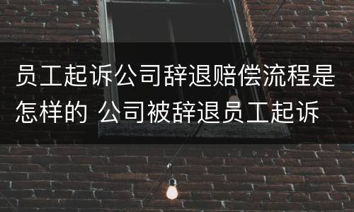 员工起诉公司辞退赔偿流程是怎样的 公司被辞退员工起诉