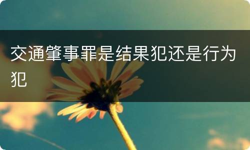 交通肇事罪是结果犯还是行为犯