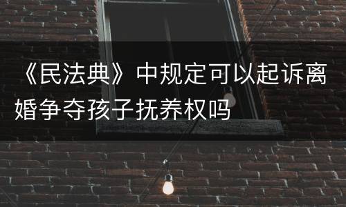 《民法典》中规定可以起诉离婚争夺孩子抚养权吗
