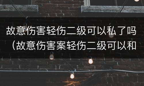 故意伤害轻伤二级可以私了吗（故意伤害案轻伤二级可以和解吗）