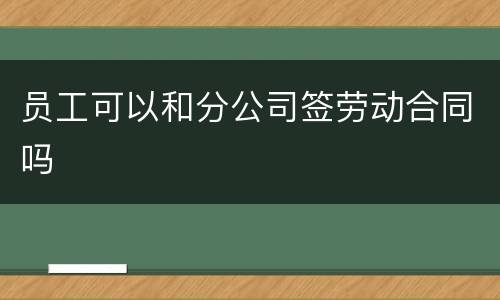 员工可以和分公司签劳动合同吗