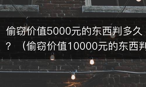 偷窃价值5000元的东西判多久？（偷窃价值10000元的东西判多久）