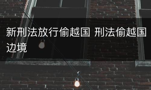 新刑法放行偷越国 刑法偷越国边境