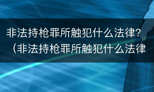 非法持枪罪所触犯什么法律？（非法持枪罪所触犯什么法律法规）