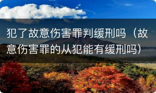 犯了故意伤害罪判缓刑吗（故意伤害罪的从犯能有缓刑吗）