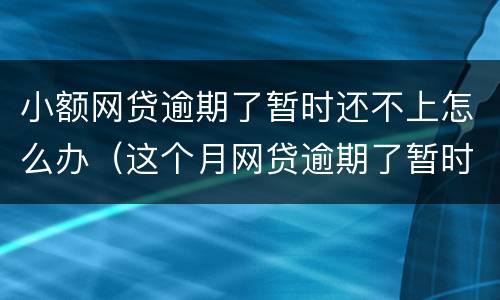 小额网贷逾期了暂时还不上怎么办（这个月网贷逾期了暂时还不上怎么办）