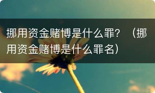 挪用资金赌博是什么罪？（挪用资金赌博是什么罪名）