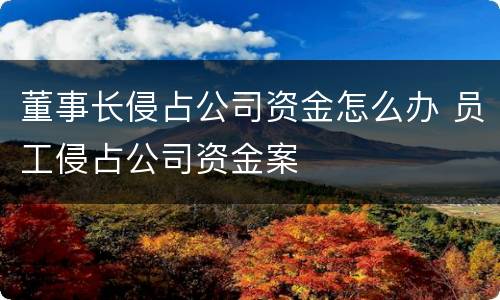 董事长侵占公司资金怎么办 员工侵占公司资金案