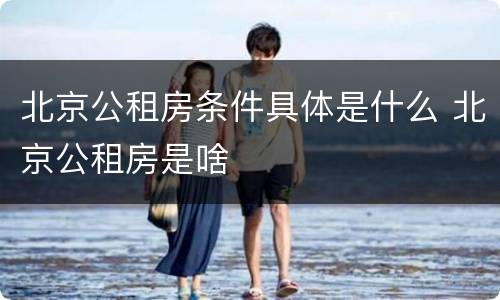 北京公租房条件具体是什么 北京公租房是啥