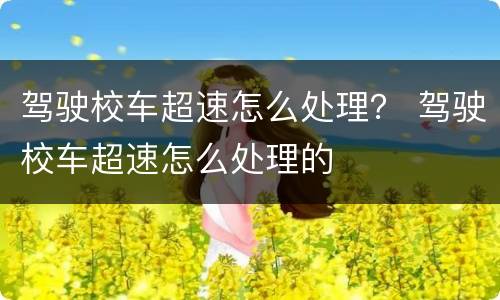 驾驶校车超速怎么处理？ 驾驶校车超速怎么处理的