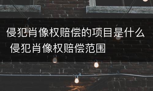 侵犯肖像权赔偿的项目是什么 侵犯肖像权赔偿范围