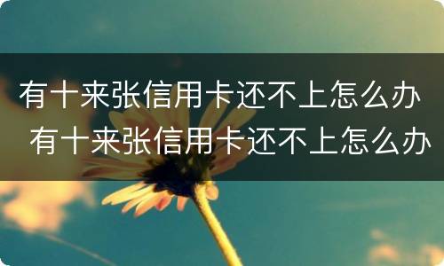有十来张信用卡还不上怎么办 有十来张信用卡还不上怎么办呀