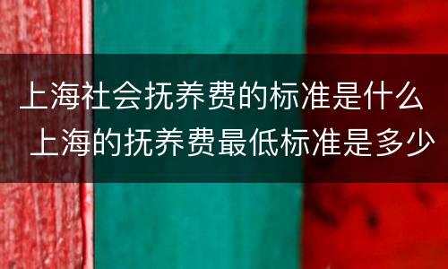 上海社会抚养费的标准是什么 上海的抚养费最低标准是多少
