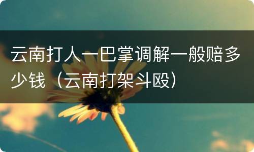 云南打人一巴掌调解一般赔多少钱（云南打架斗殴）