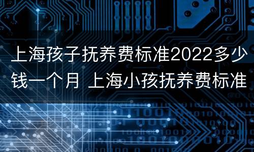 上海孩子抚养费标准2022多少钱一个月 上海小孩抚养费标准一月多少钱2020年