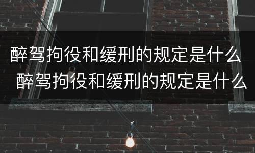 醉驾拘役和缓刑的规定是什么 醉驾拘役和缓刑的规定是什么时候实施