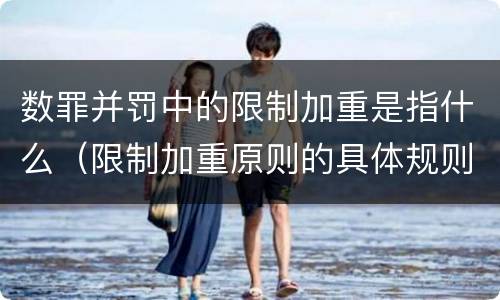 数罪并罚中的限制加重是指什么（限制加重原则的具体规则）