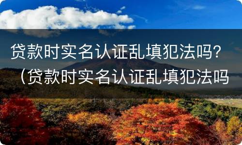 贷款时实名认证乱填犯法吗？（贷款时实名认证乱填犯法吗怎么办）