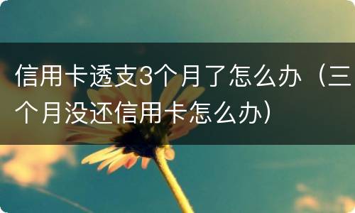信用卡透支3个月了怎么办（三个月没还信用卡怎么办）