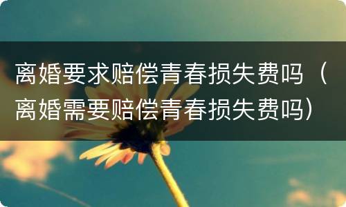 离婚要求赔偿青春损失费吗（离婚需要赔偿青春损失费吗）