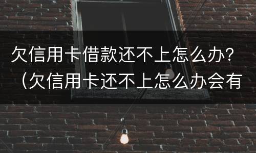 欠信用卡借款还不上怎么办？（欠信用卡还不上怎么办会有哪些后果）