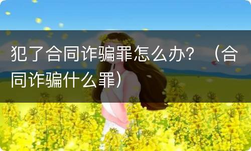 犯了合同诈骗罪怎么办？（合同诈骗什么罪）