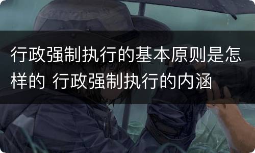 行政强制执行的基本原则是怎样的 行政强制执行的内涵