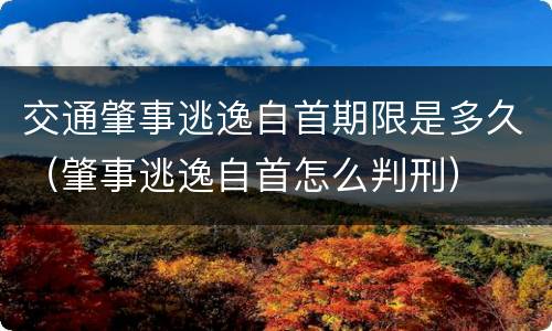 交通肇事逃逸自首期限是多久（肇事逃逸自首怎么判刑）