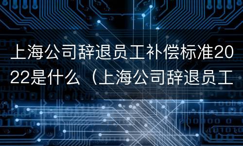 上海公司辞退员工补偿标准2022是什么（上海公司辞退员工补偿标准2022是什么意思）