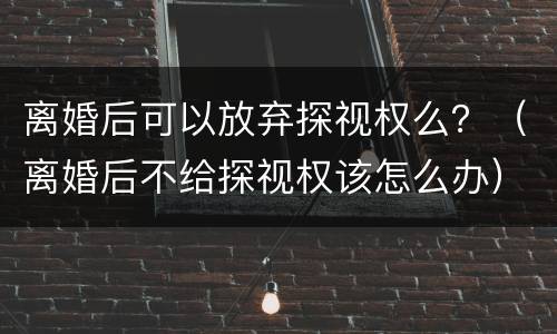 离婚后可以放弃探视权么？（离婚后不给探视权该怎么办）