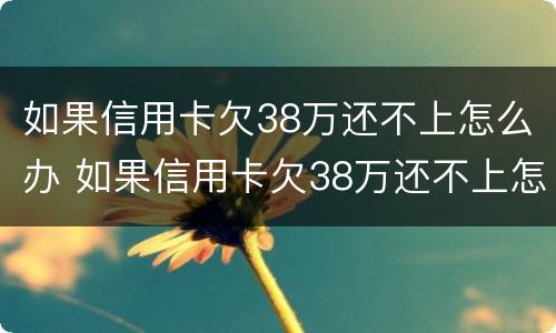 如果信用卡欠38万还不上怎么办 如果信用卡欠38万还不上怎么办呢