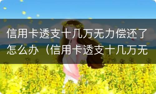 信用卡透支十几万无力偿还了怎么办（信用卡透支十几万无力偿还了怎么办呢）