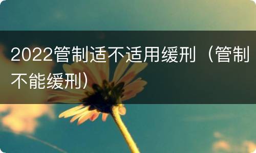 2022管制适不适用缓刑（管制不能缓刑）