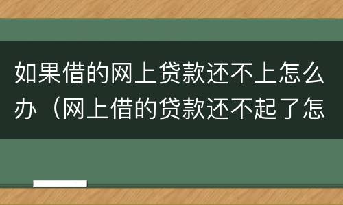 如果借的网上贷款还不上怎么办（网上借的贷款还不起了怎么办）