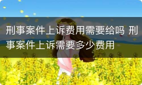 刑事案件上诉费用需要给吗 刑事案件上诉需要多少费用