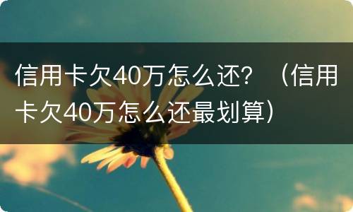 信用卡欠40万怎么还？（信用卡欠40万怎么还最划算）