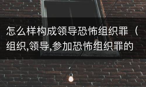 怎么样构成领导恐怖组织罪（组织,领导,参加恐怖组织罪的构成要件）