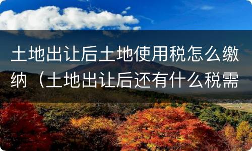 土地出让后土地使用税怎么缴纳（土地出让后还有什么税需缴纳）