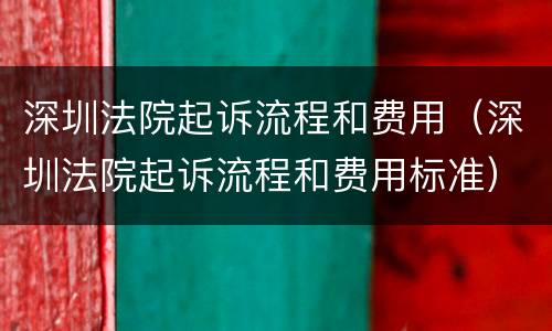 深圳法院起诉流程和费用（深圳法院起诉流程和费用标准）