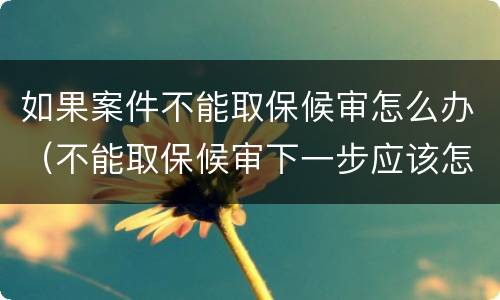 如果案件不能取保候审怎么办（不能取保候审下一步应该怎么办）
