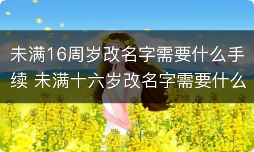 未满16周岁改名字需要什么手续 未满十六岁改名字需要什么手续