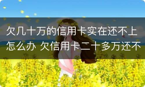 欠几十万的信用卡实在还不上怎么办 欠信用卡二十多万还不上怎么办