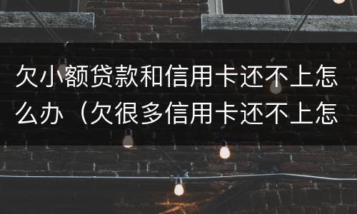 欠小额贷款和信用卡还不上怎么办（欠很多信用卡还不上怎么办）